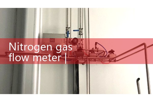 nitrogen gas flow meter